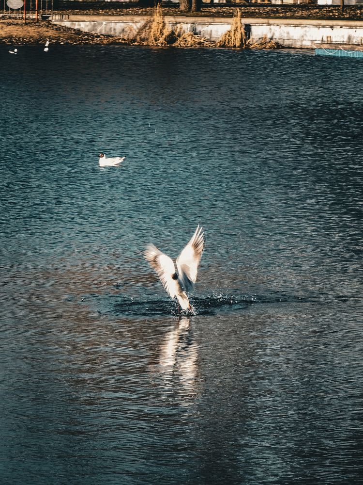 Photograph by Влад Апанасов