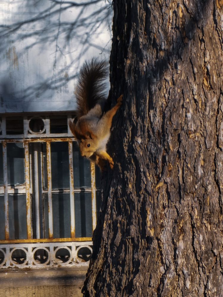 Photograph by Влад Апанасов