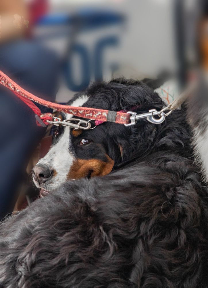 Photograph by Любовь Перевозникова