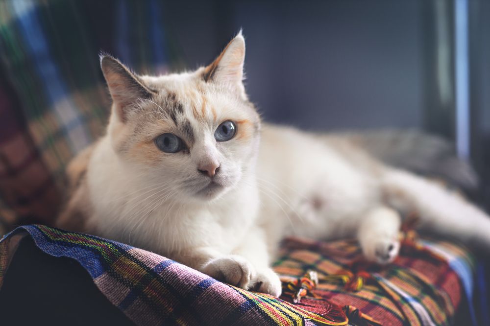 Photograph by Денис Варакин