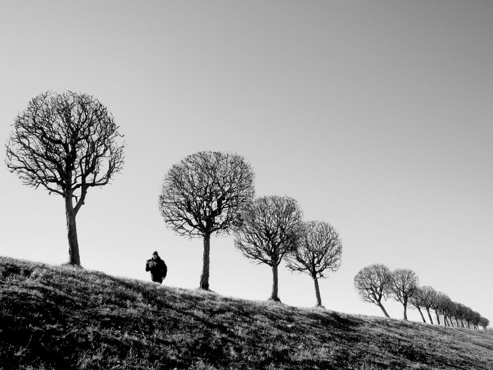 Photograph by Антон Лаба