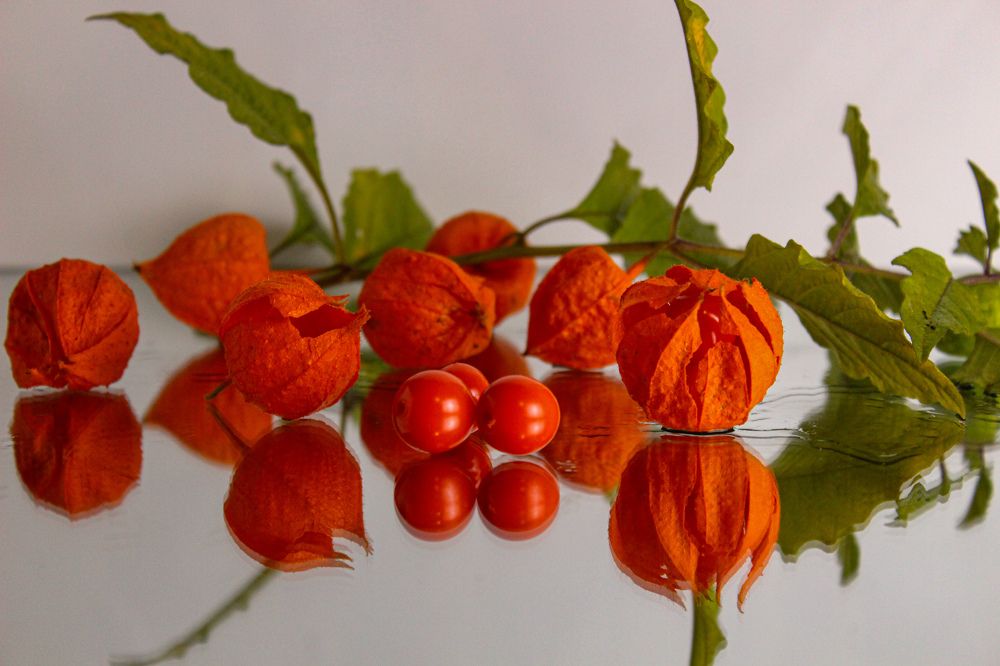 Photograph by Ирина Дмитриенко