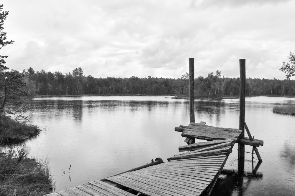 Photograph by Дмитрий Чемоданов