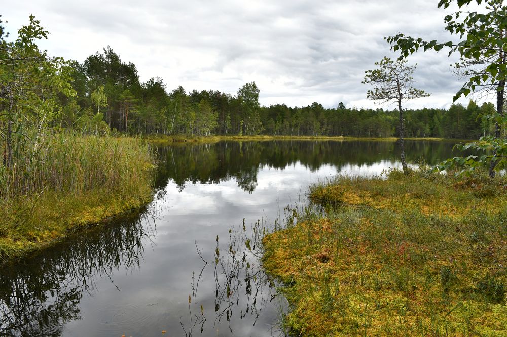 Photograph by Дмитрий Чемоданов