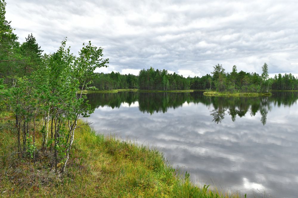 Photograph by Дмитрий Чемоданов