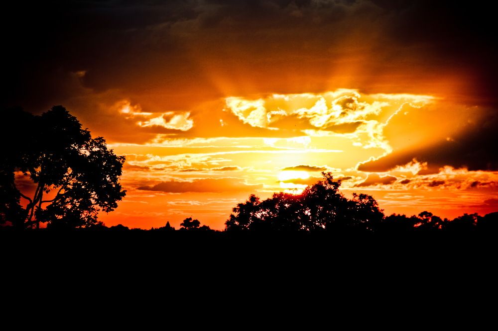Photograph by Илья Ушак