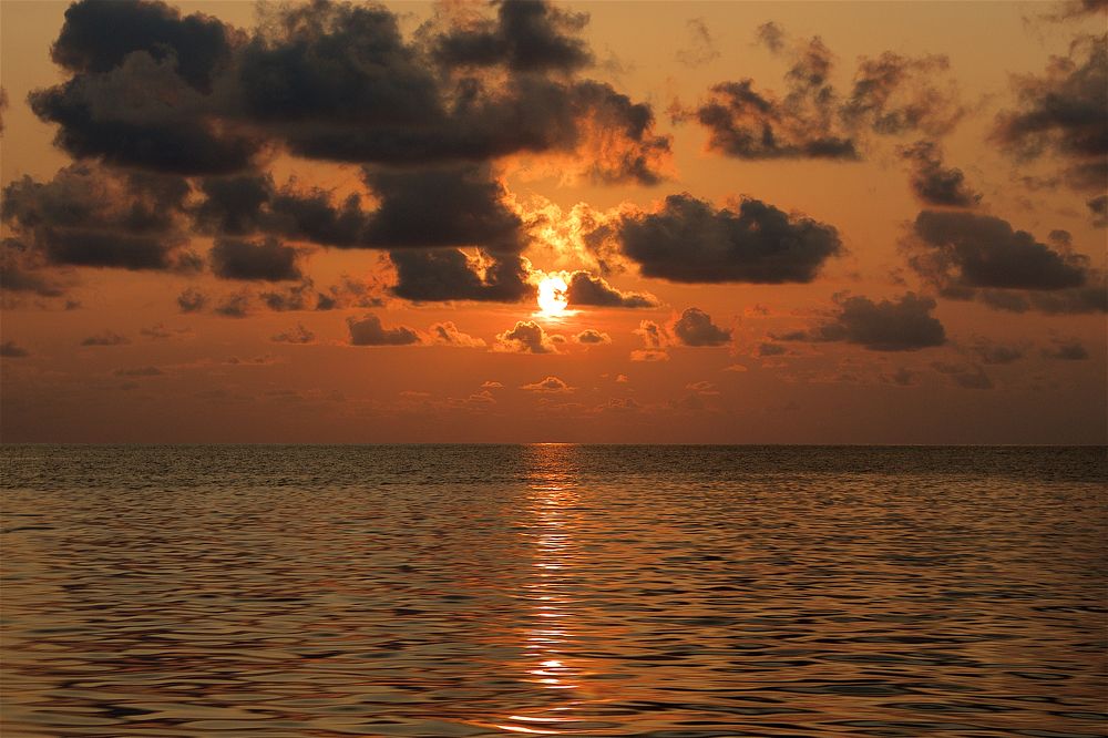 Photograph by Илья Ушак