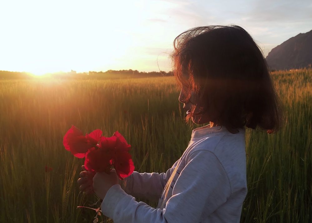 Фотография автора Mahdi Hosseini Kia