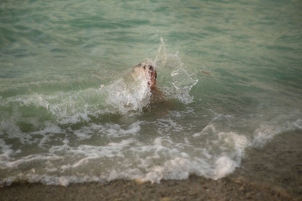 Photograph by Яна Лазебная