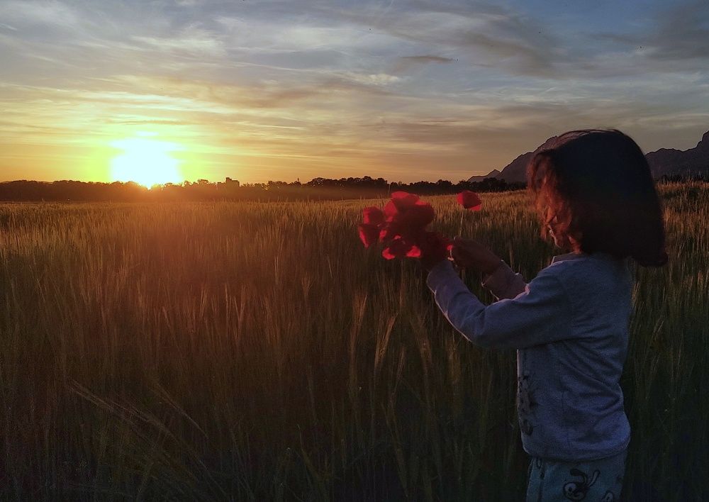 Фотография автора Mahdi Hosseini Kia