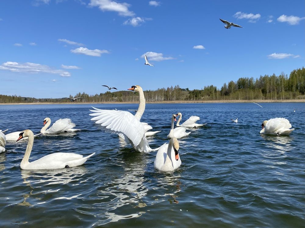 Фотография автора Ольга Горюнова