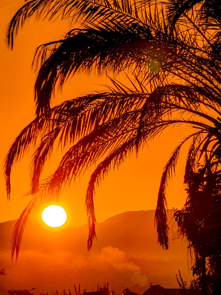 Photograph by Chic.chiquitita