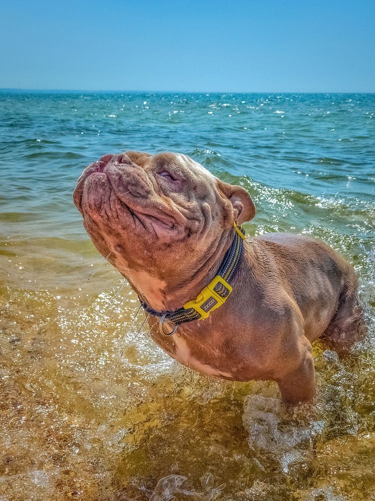 Photograph by Лариса Когтева