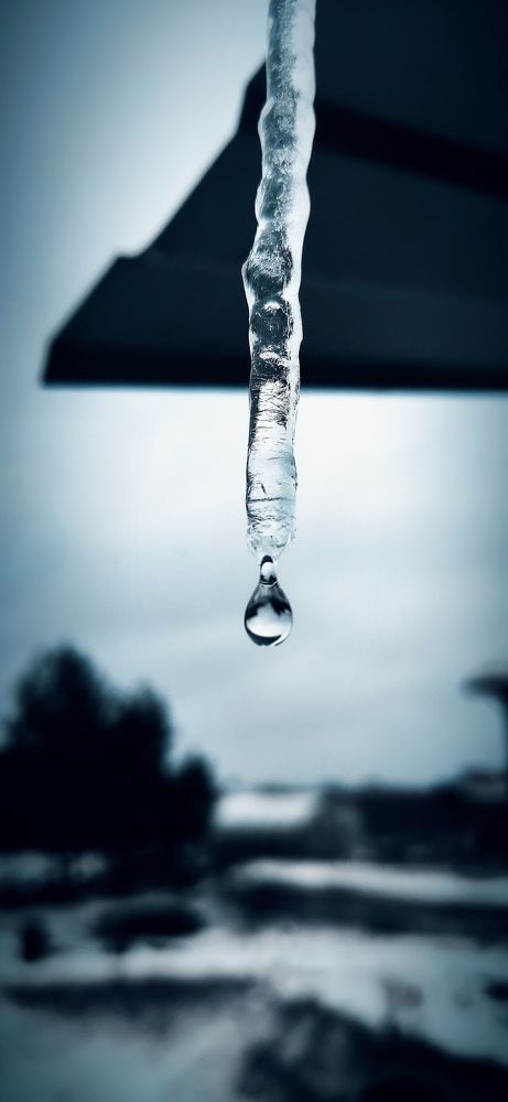 Photograph by Konstantin Martynov