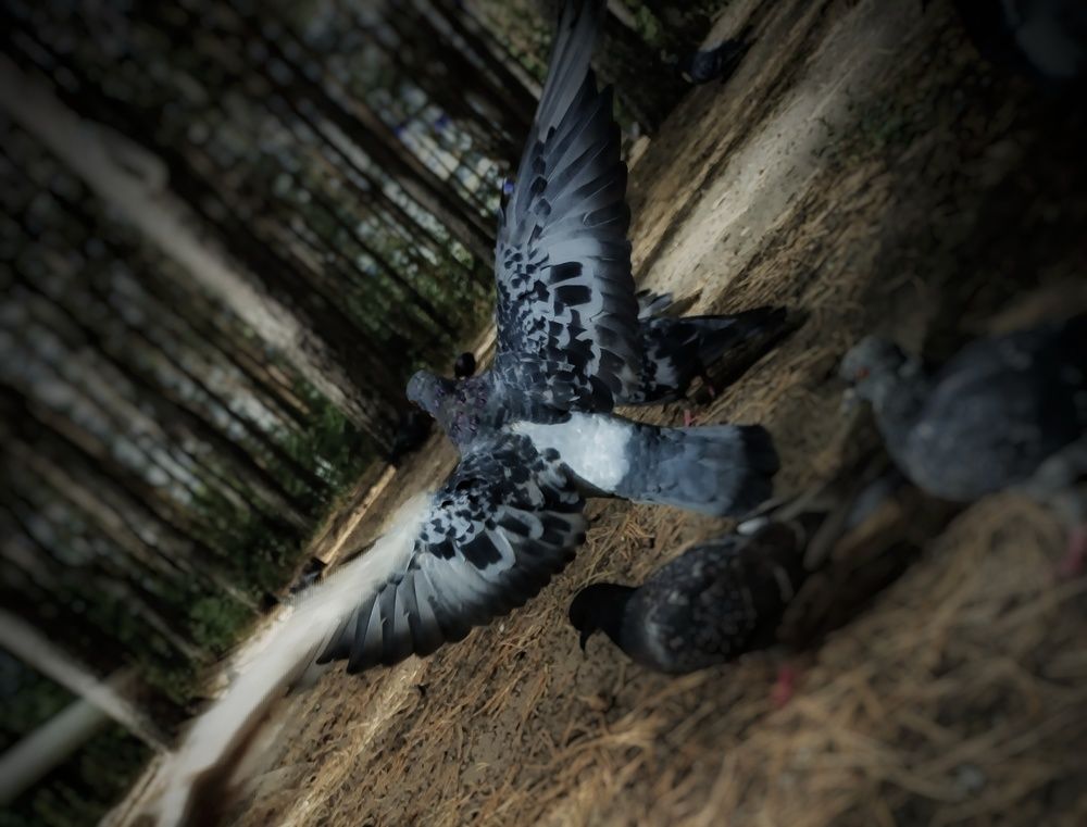 Фотография автора Ola La