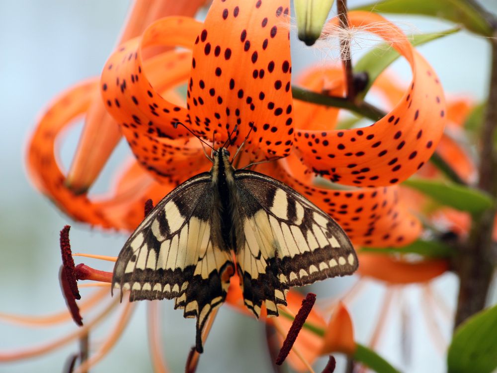 Станция заправки