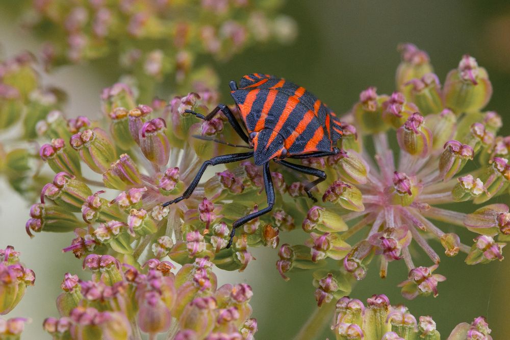 Photograph by Артём Малышев
