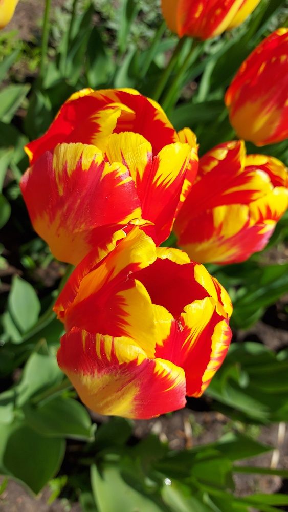 Photograph by ЭЛЬМИРА  ИСМАИЛОВА