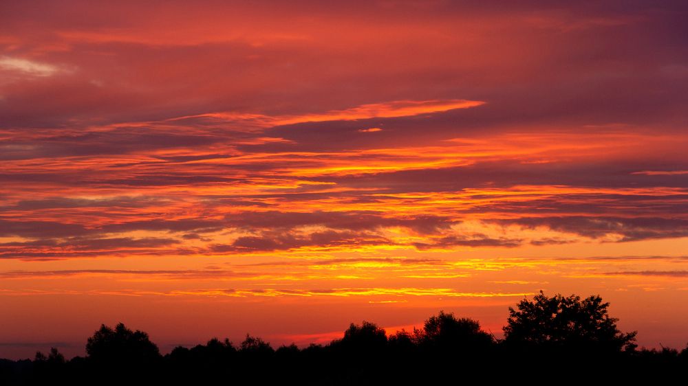 Photograph by Alexander Eliseev