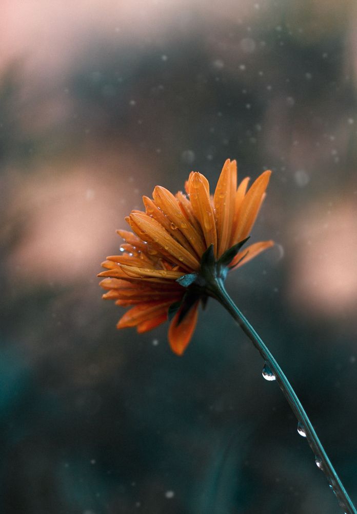 Photograph by Alexander Eliseev