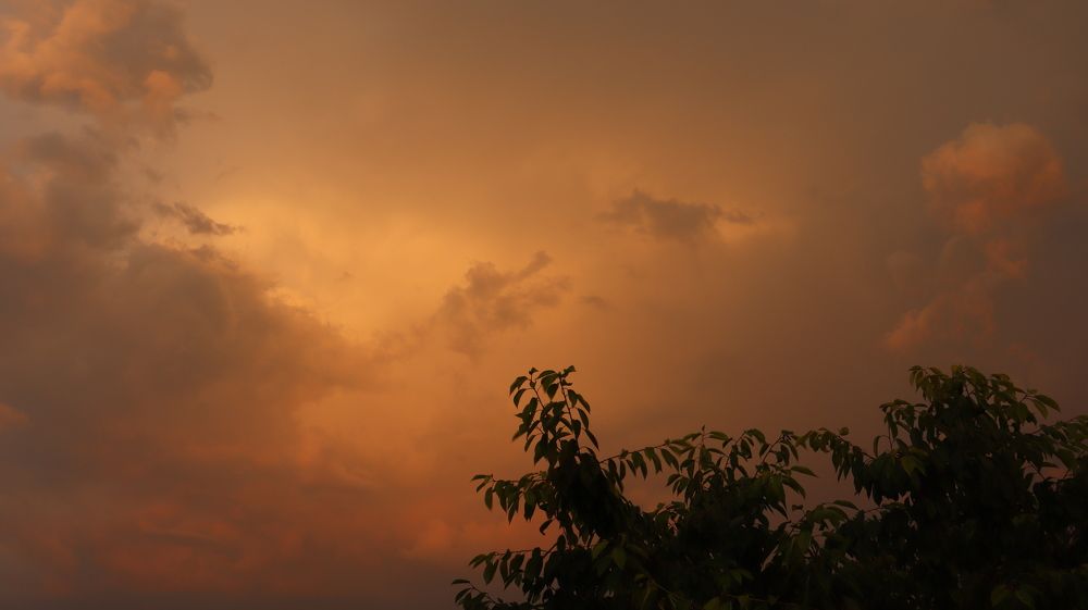 Photograph by Даниил Сырбу