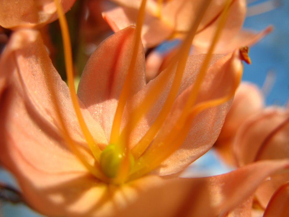 Photograph by Орл Про