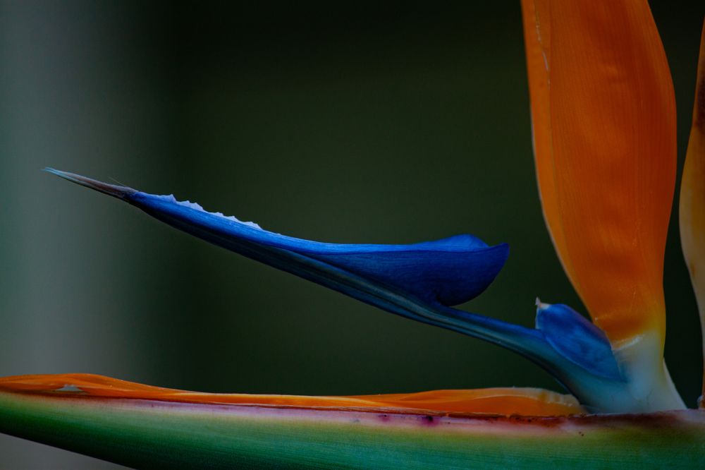 Photograph by Владислав Капанов