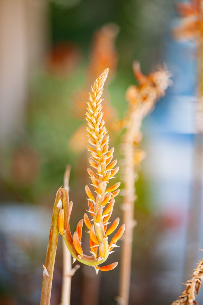 Photograph by Владислав Капанов