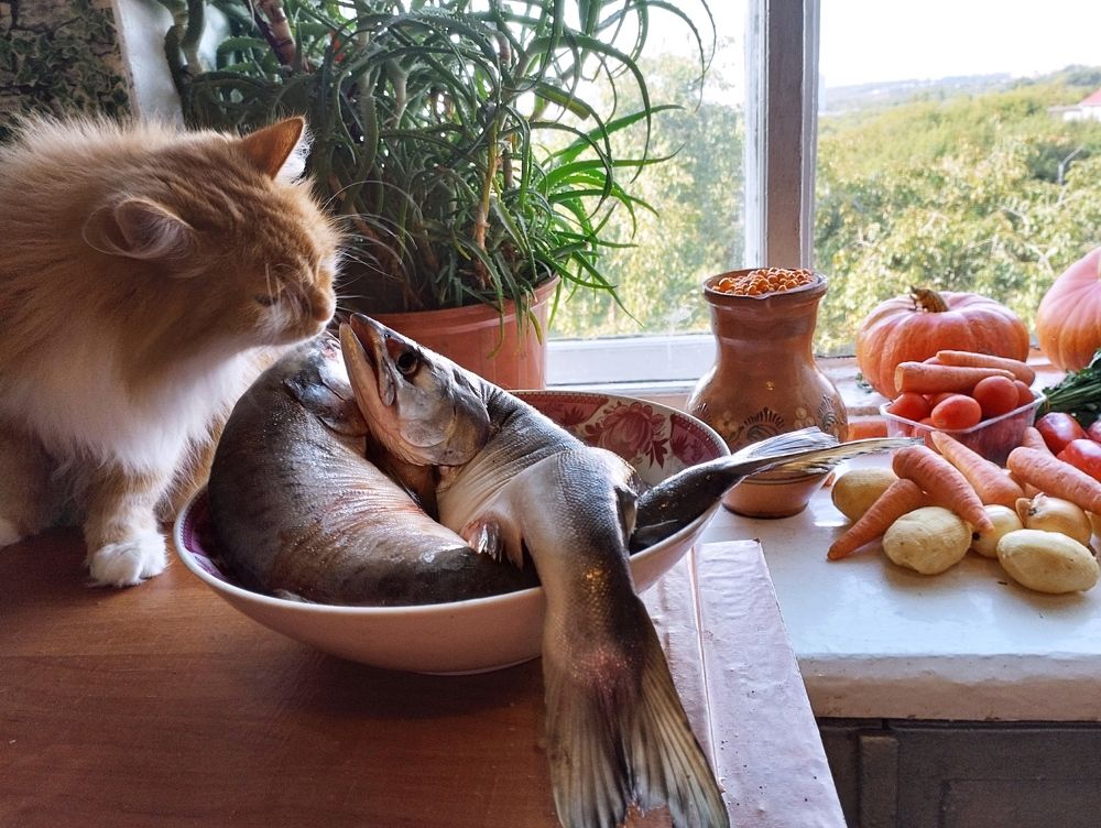 Photograph by Надежда Болтунова