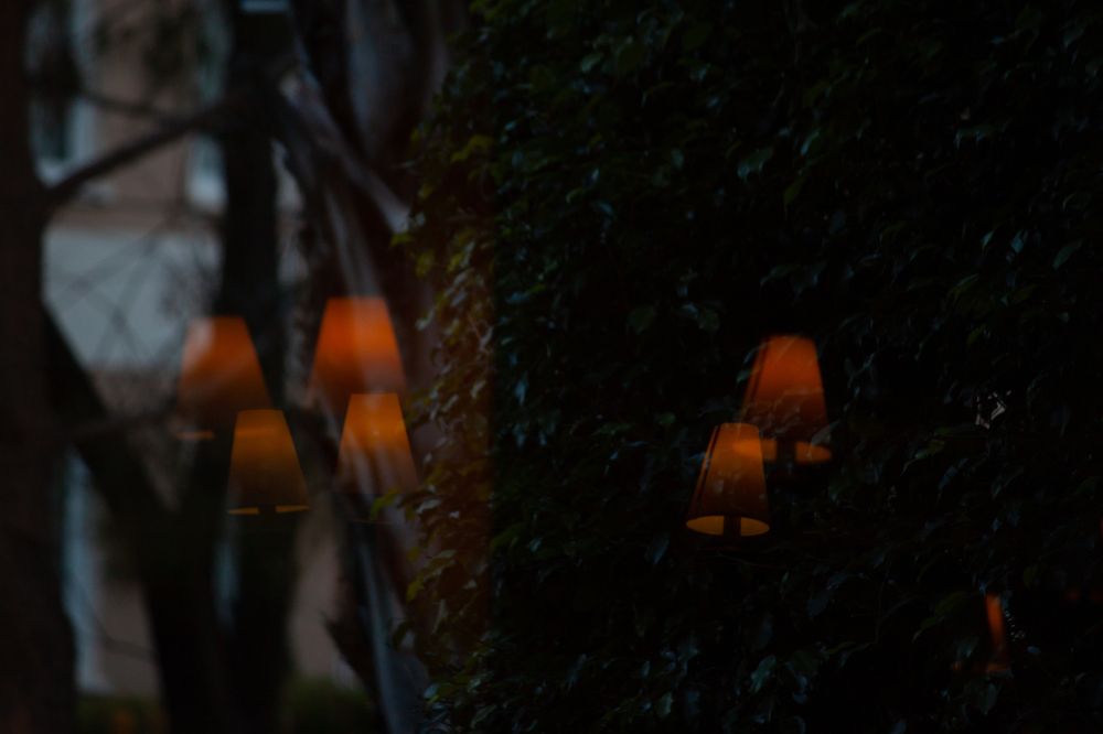 Photograph by Владислав Капанов