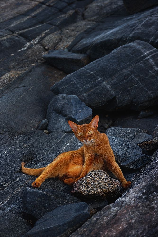 Photograph by Елена Михайлова