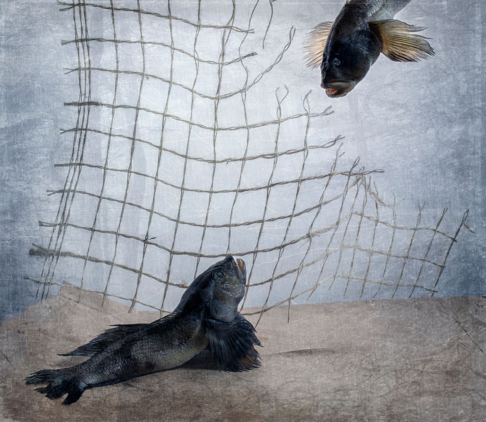 Фотография автора Людмила Прокофьева