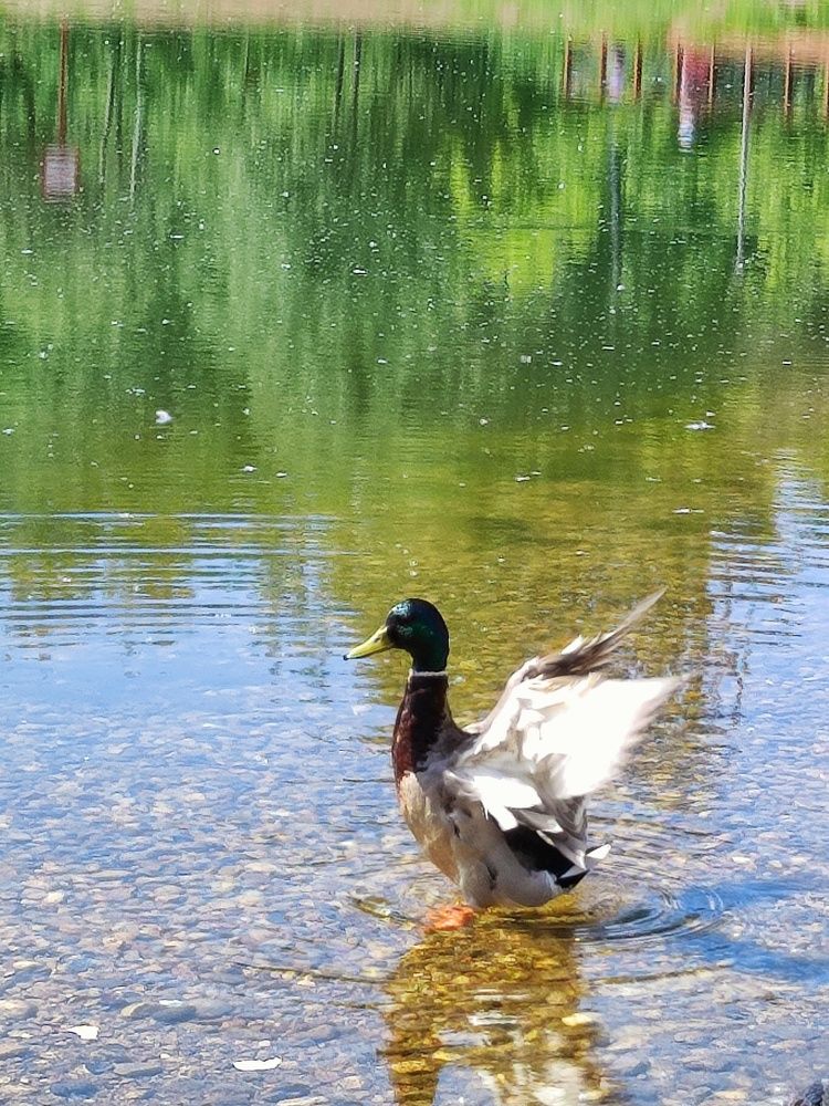 Photograph by Олеся Хижко