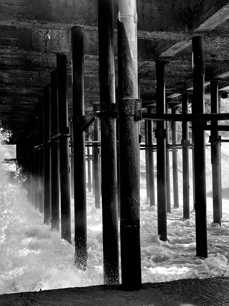 Photograph by Tatiana Teit Ash