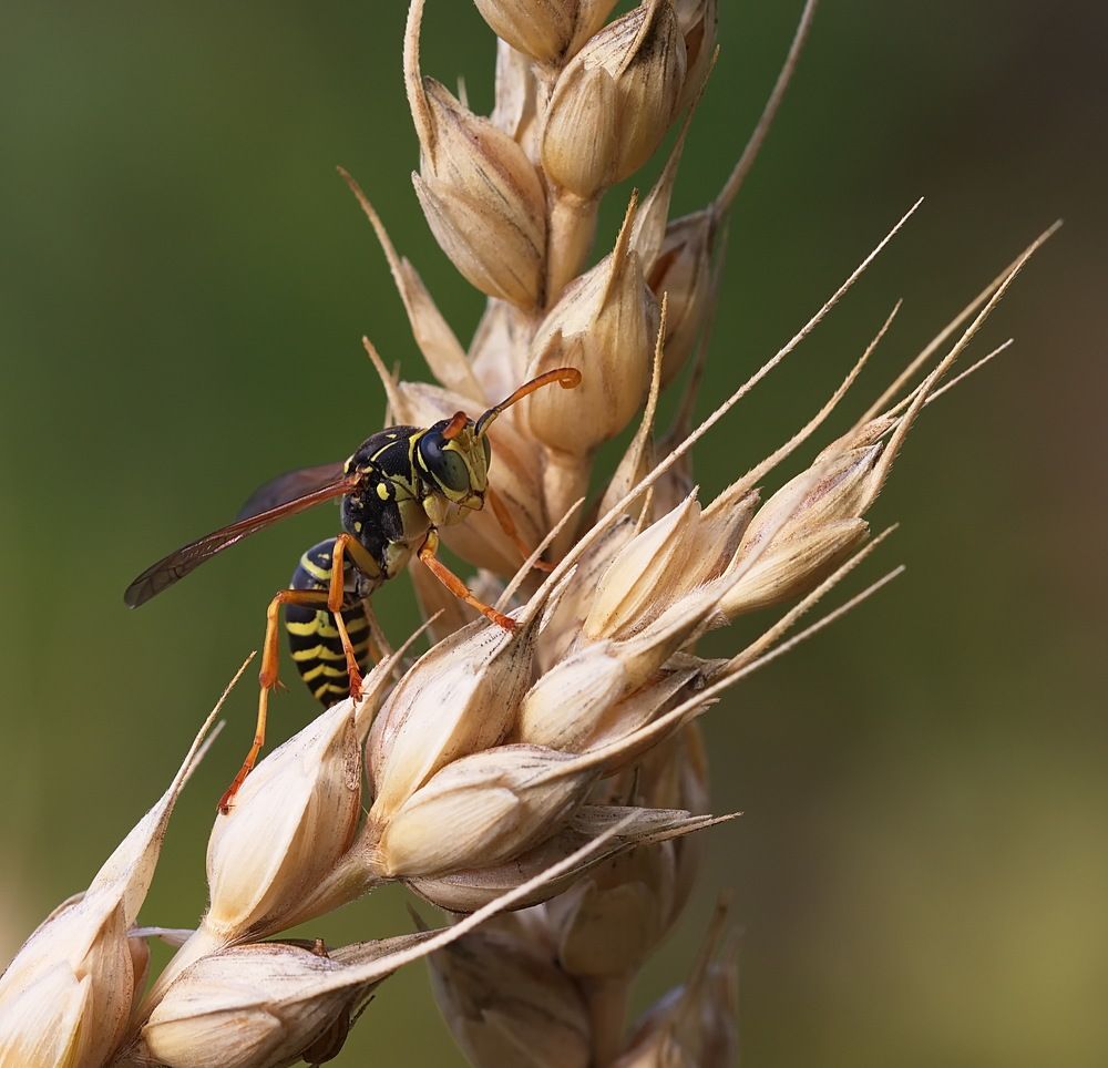Photograph by Анатолий Васильев