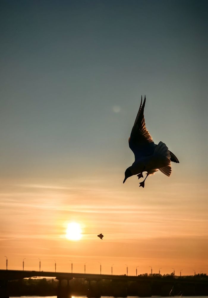 Photograph by Игорь Сапронов