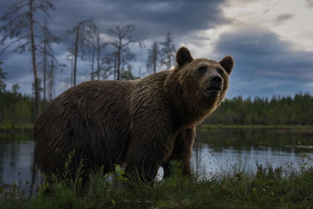 Photograph by Ernestas Balcikonis