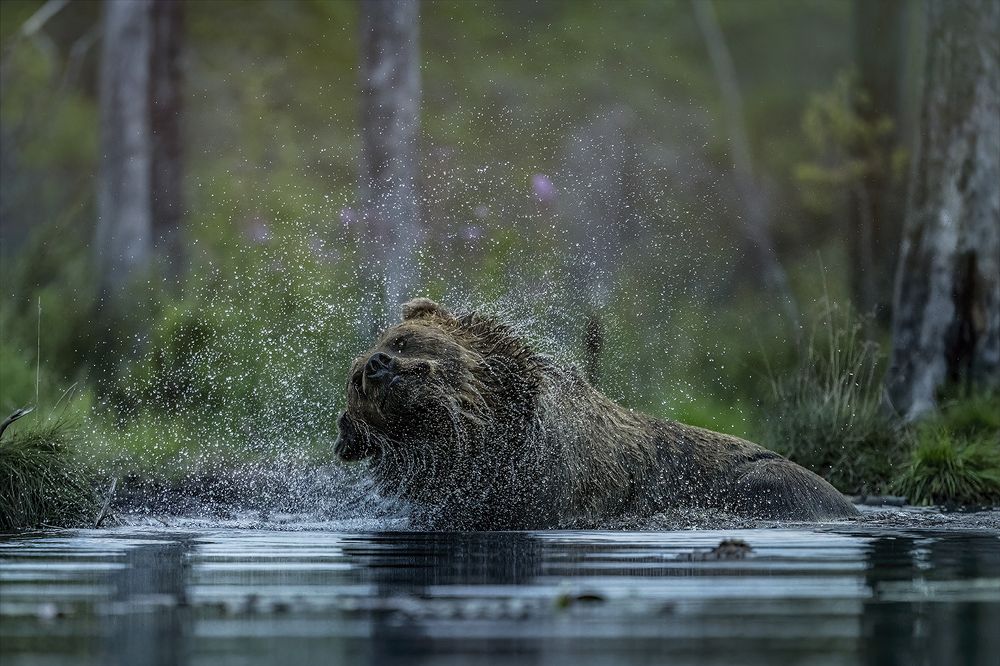 Photograph by Ernestas Balcikonis