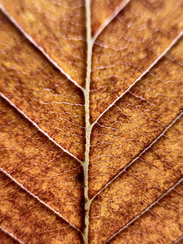 Photograph by Александр Ранчин