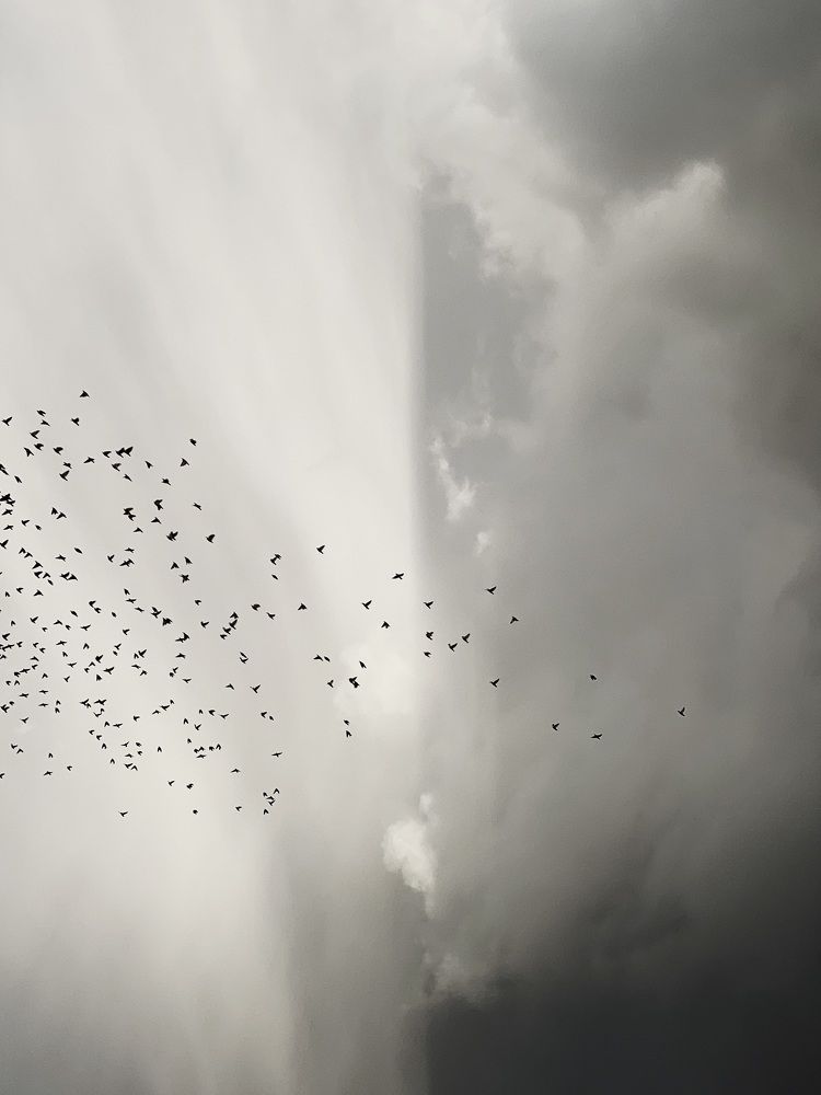 Photograph by Александр Ранчин