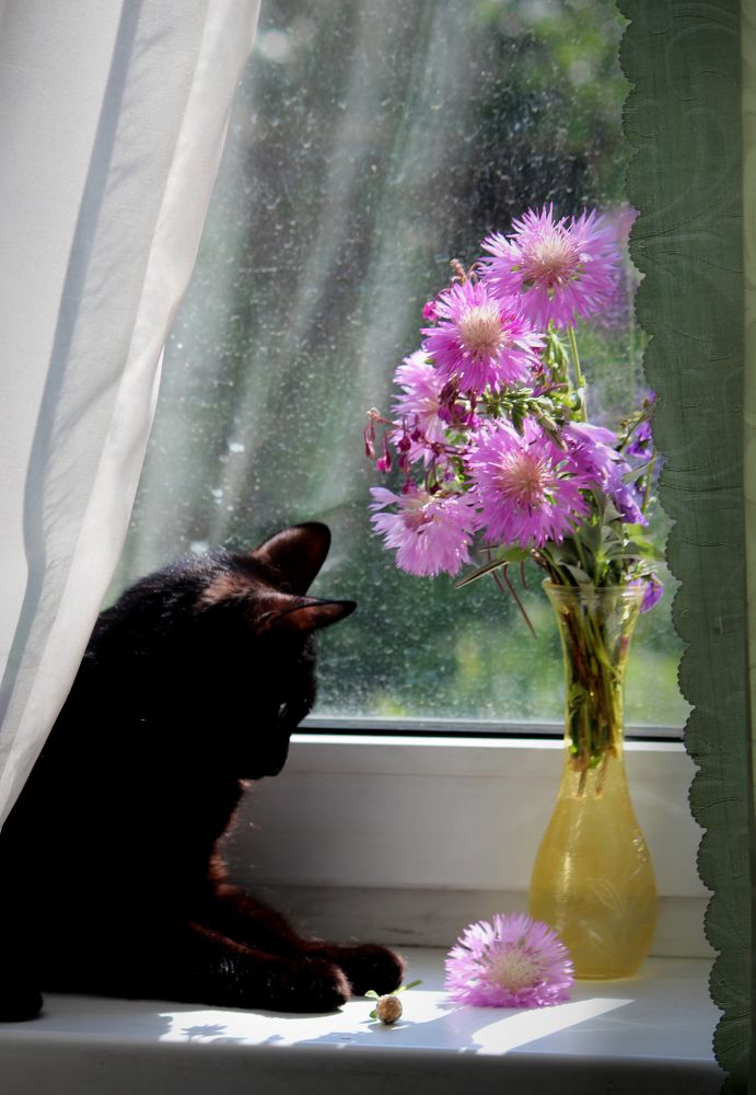 Photograph by Игорь Быков