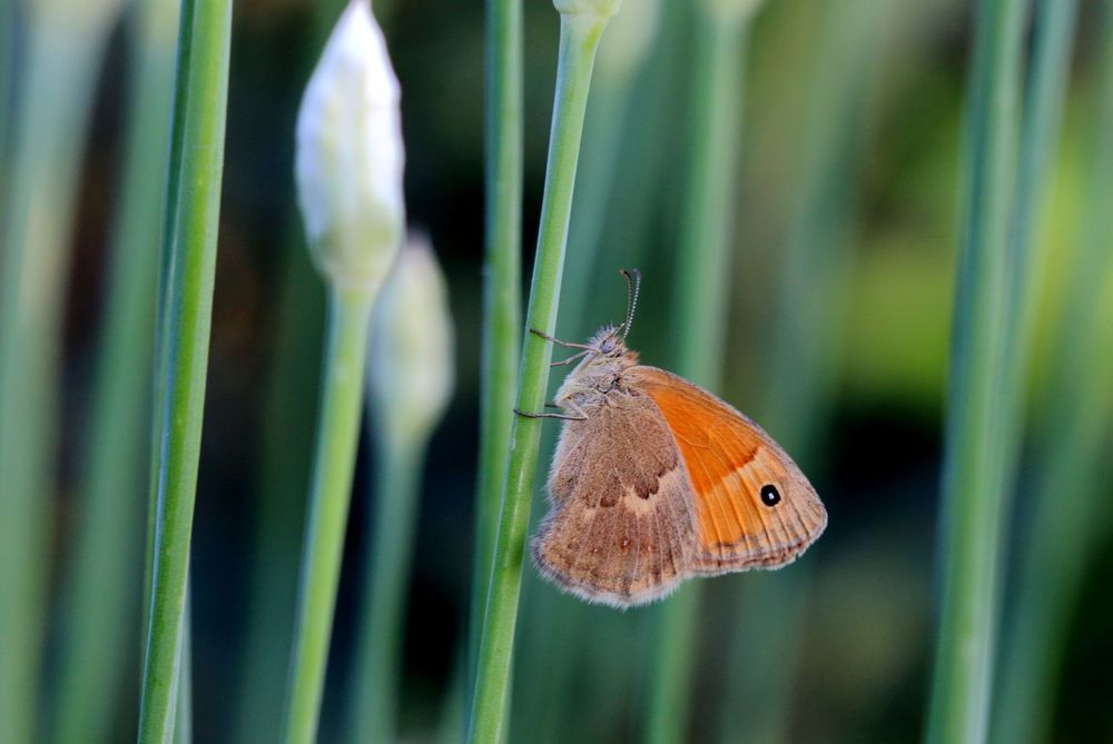 Photograph by Юрий Варюхин