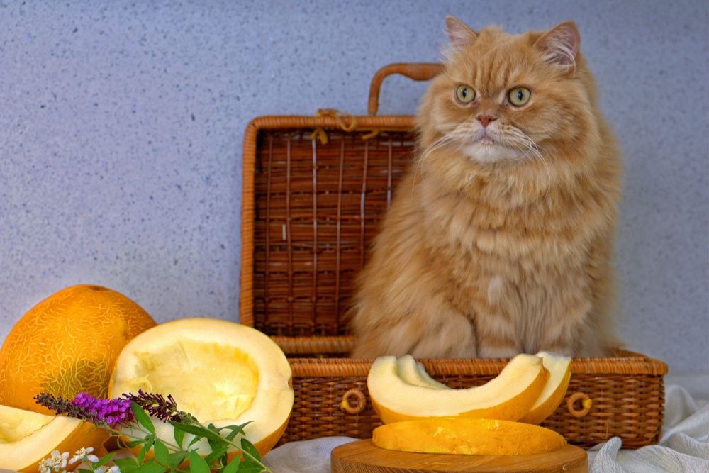 Photograph by Оксана