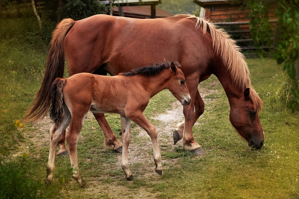 Photograph by Olga Platonova