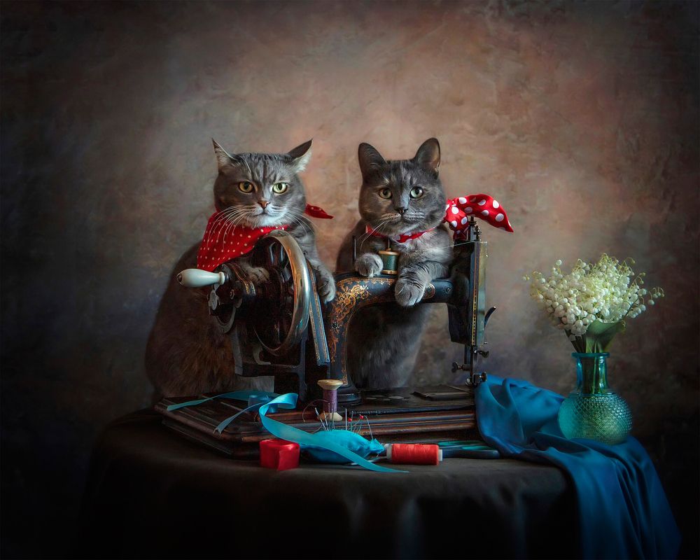 Photograph by Татьяна Самойлова