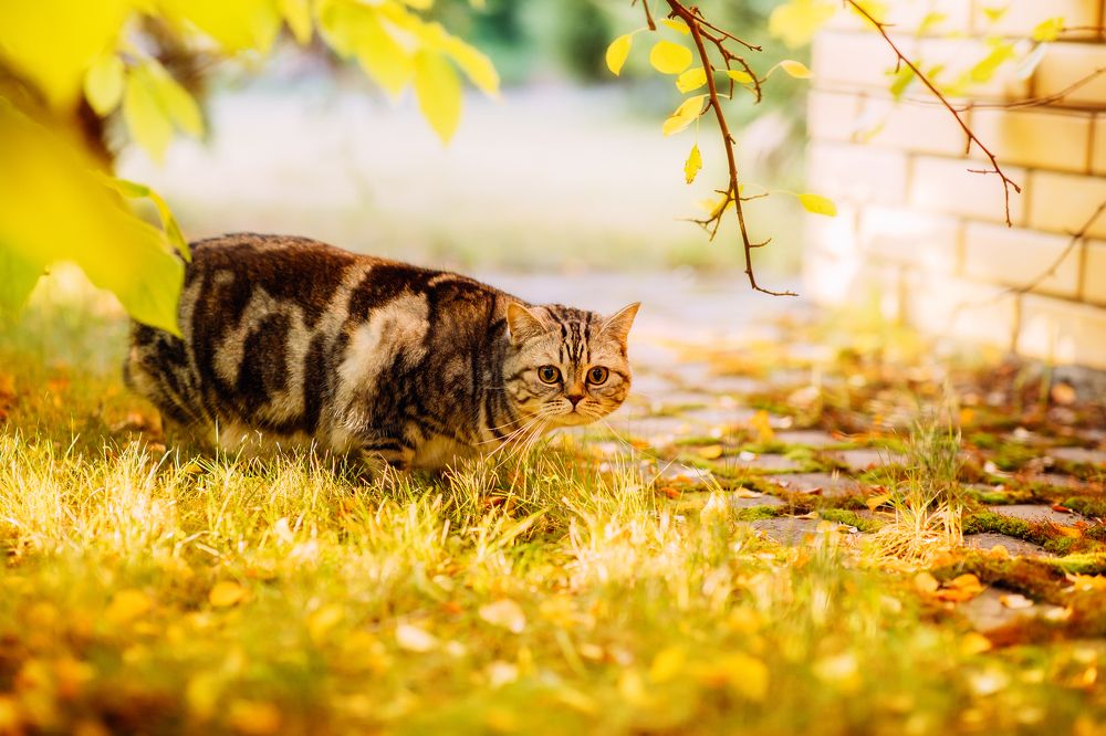 Photograph by Миля Сухарева