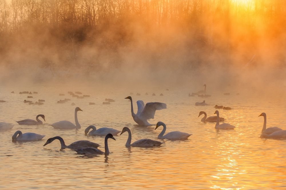 Закат на Лебедином озере.