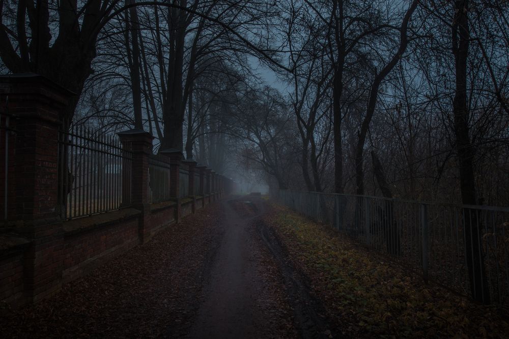 Photograph by Перевозчиков Андрей