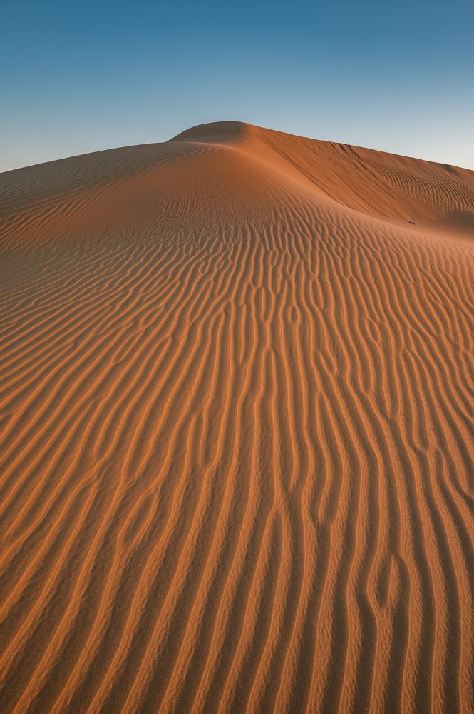 Фотография автора Перевозчиков Андрей