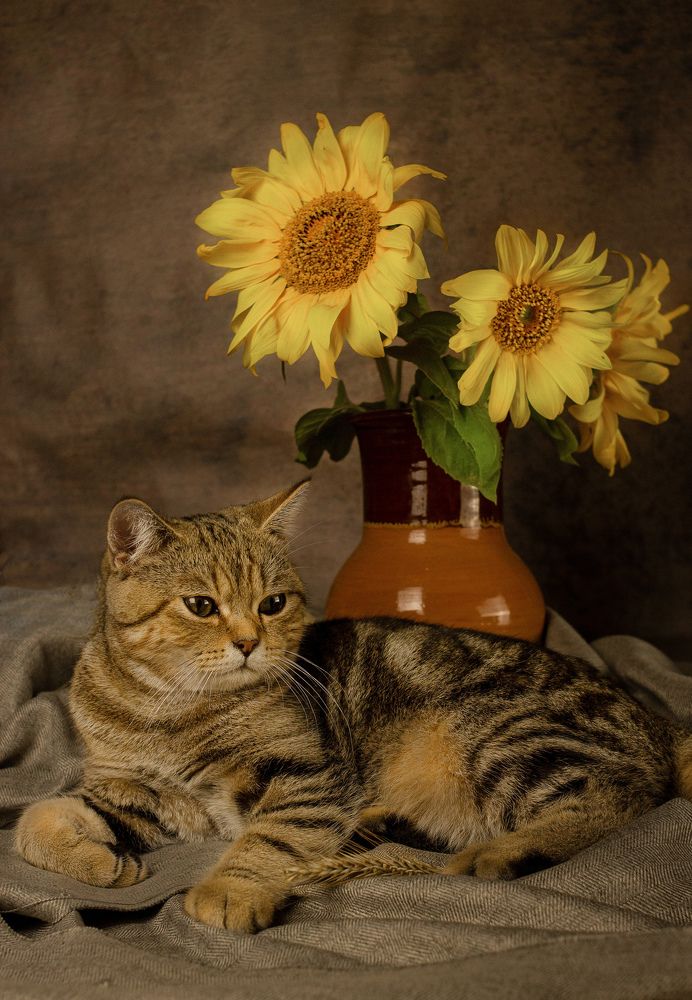 Photograph by Наталья Касимова